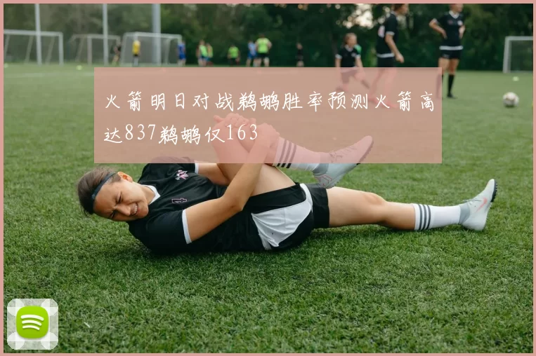 火箭明日对战鹈鹕胜率预测火箭高达837鹈鹕仅163